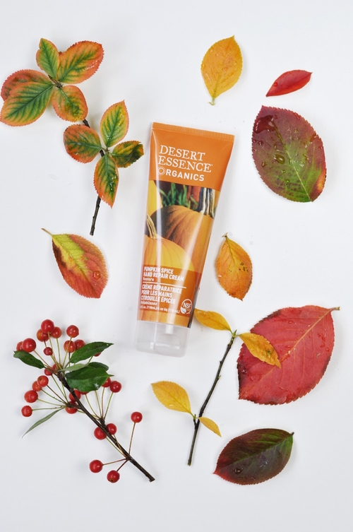 desert-essence-pumpkin-spice-hand-cream-1