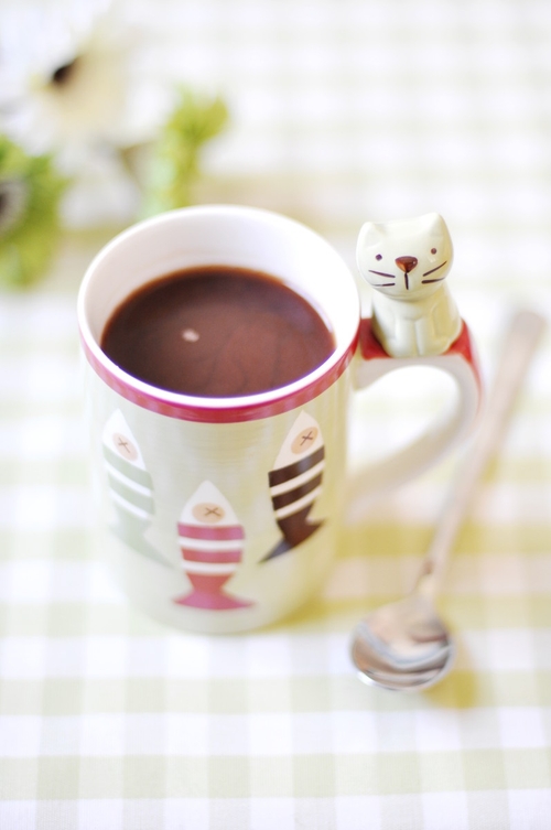 home-made-hot-cocoa-2