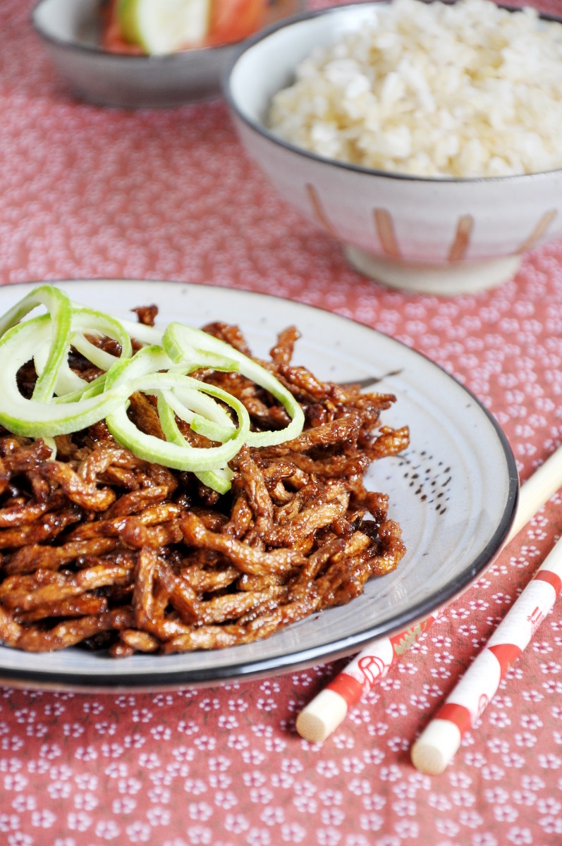 Shredded Soy Protein wth Beijing Sauce