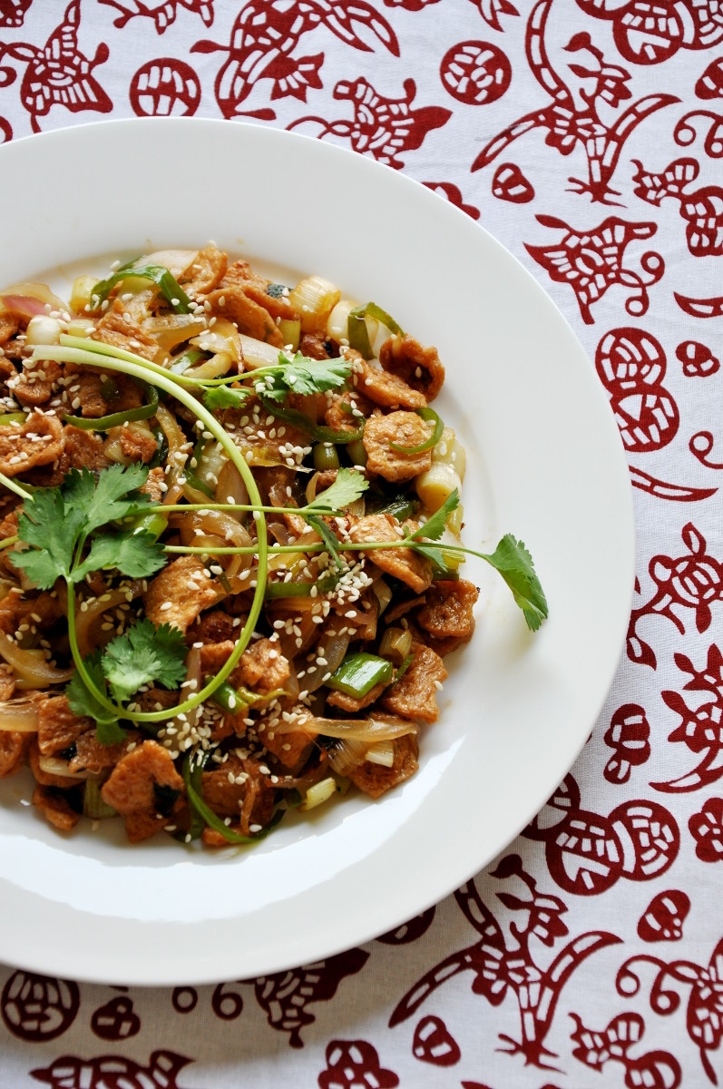 Soy Protein Stir-fry with Leek and Onion