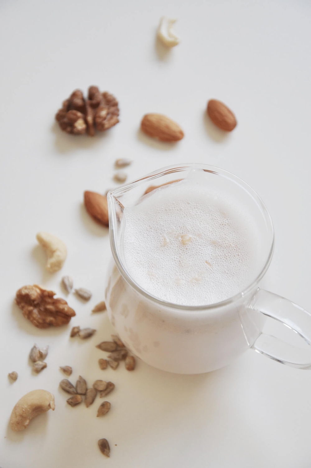 Nut and Seed Non-dairy Vegan Milk